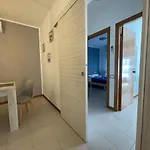 La Storhouse Nuovo Sul Corso Di *